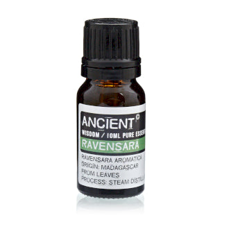 Ravensara essential oil aromatherapy sinus Depression