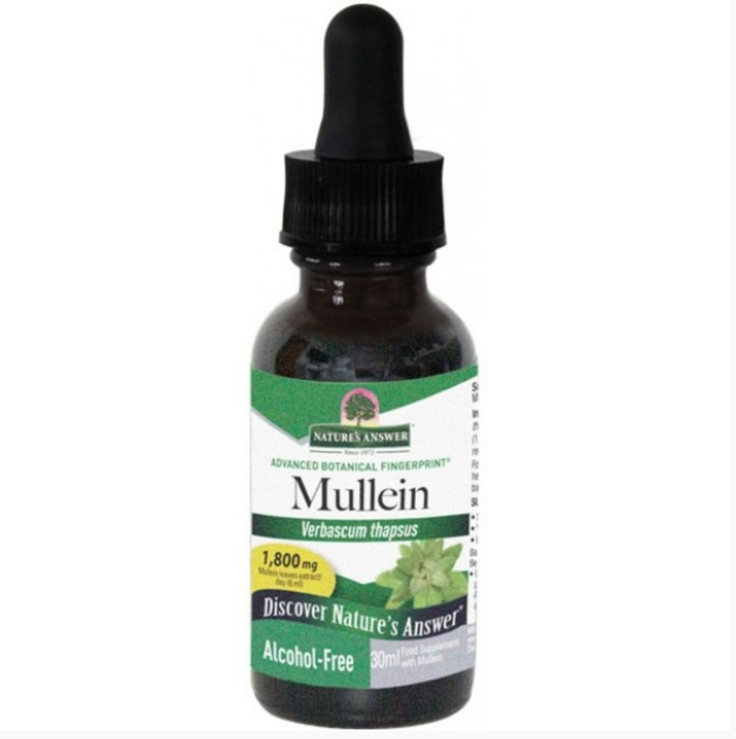 Natures Answer Mullein Extract Alcohol Free 30ml