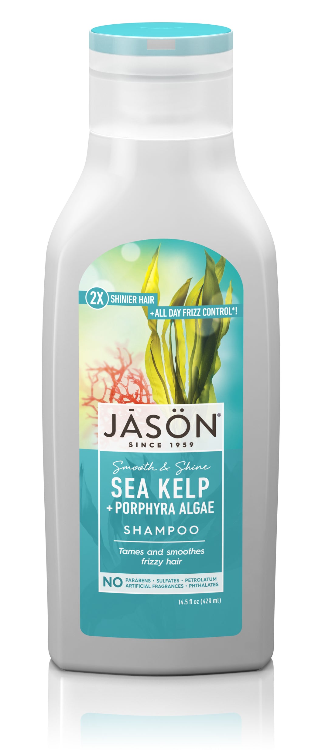 Jason Organic Sea Kelp Shampoo Natural Hair Moisture