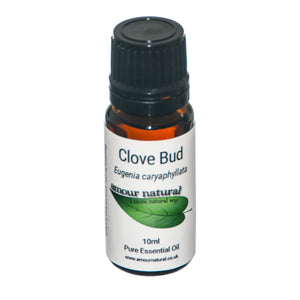 Clove Oil Aromatherapy Essential Antiseptic  Toothache